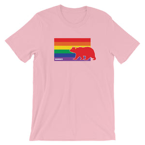 Bear Gay Flag T-Shirt