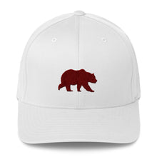 Bear Flexfit Cap